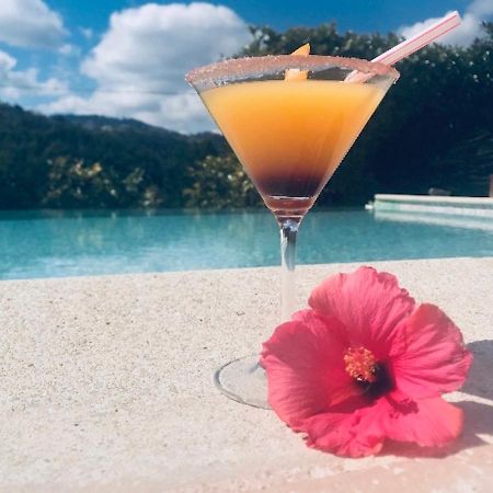 Villa Santa Rita Auribeau-sur-Siagne Екстер'єр фото